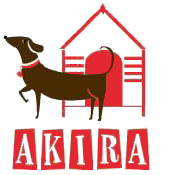 cropped-akira-header-2.png